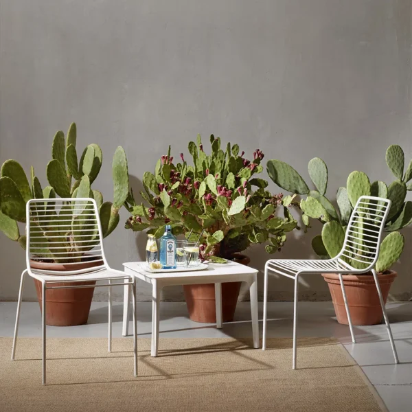 Summer - Image 8