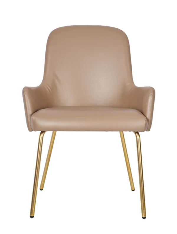 Camden Side Chair Tube Frame - Image 4
