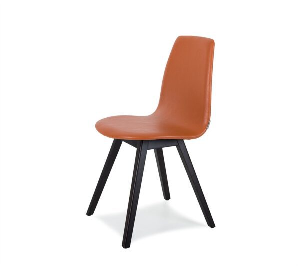 AK003 - Image 3