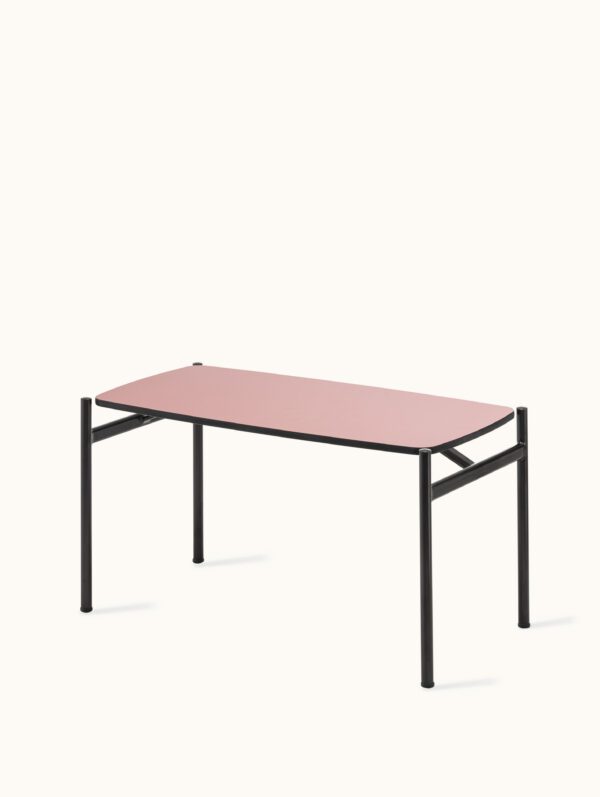 Lily - Image 5